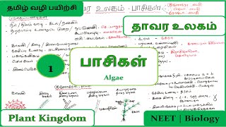 Algae in Tamil  Part 1  பாசிகள்  Class 11  Plant Kingdom  தாவர உலகம்  NEET Biology in Tamil [upl. by Mirilla]