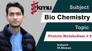 Chap10  Part2  Metabolism of Protein  BSN and Paramedic UrduHindi with solve MCQS [upl. by Ettennal]