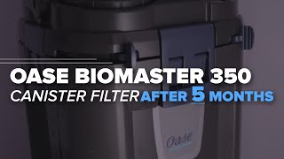 5 Months Update amp Maintenance Oase BioMaster Canister Filters  Oase 250 350 600 850 [upl. by Adnahsat640]