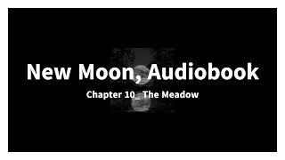 New Moon Audiobook Chapter 10 The Meadow [upl. by Yahsat]