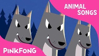 Night Animals  Animal Songs  Pinkfong Songs for Children [upl. by Maxi808]