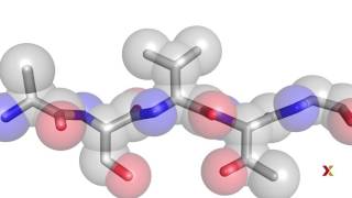 Principles of Biochemistry  Harvardx on edX [upl. by Noiro215]