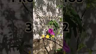 Provérbios 30 712 [upl. by Yelraf487]