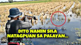 SA PALAYAN NAMIN NATAGPUAN ANG MALALAKING ISDAAIRGUN FISHINGMHEDDS JOE TVVLOG323 [upl. by Anitnelav]