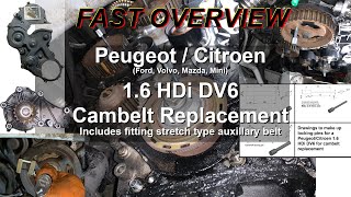 Quick overview of 16 HDi Cambelt Replacement [upl. by Bowlds]