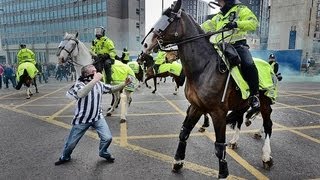 Newcastle Fan Punches A Horse [upl. by Airdnaid]