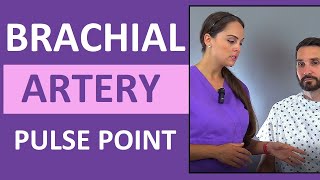 Brachial Artery Pulse Point Location Nursing Skill [upl. by Ludeman497]