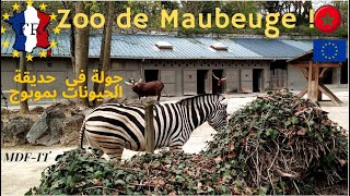 Visite du Zoo de Maubeuge en France 2ème Partie زيارة حديقة حيوانات موبوج بفرنسا [upl. by Nitram]