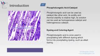 【know tungsten】phosphotungstic acid application [upl. by Aicatan]