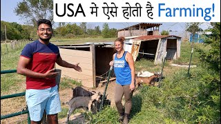 अमेरिकन Farm पे ऐसी होती है life A day spent on farm in USA 🇺🇸 Chickens Goats etc  IndiaVlogger [upl. by Htebazila]