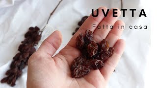 COME FARE LUVETTA Uva passa fatta in casa facilissima RICETTE DI GABRI Kitchen Brasita [upl. by Corrine113]