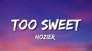 Hozier  Too Sweet Lyrics [upl. by Anaytat]