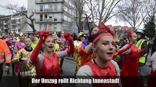 Karneval 2019 Impressionen vom Umzug in Münster [upl. by Sivra64]