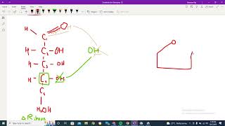 ribose linear and ring structure explained [upl. by Attela]