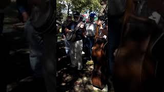 Lyons Fiddle Festival  Lyons PA [upl. by Drucie189]