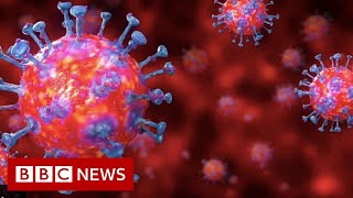 Coronavirus explained in 60 seconds  BBC News [upl. by Struve]