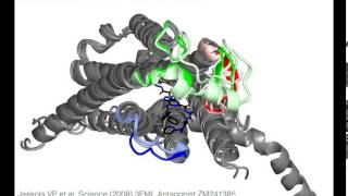 A2A Adenosine receptor with sound [upl. by Clabo]