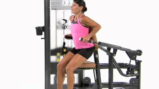 Standing Dip  Cybex VR3 Tricep Press [upl. by Seabrooke]