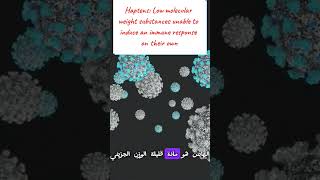 Immunogen Antigen Haptens amp Epitopes مفاهيم مهمة لفهم المناعة medicalstudent lnl immunology [upl. by Noemad]