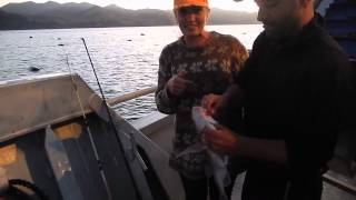 Catching a Snapper  Mussel Barge  Coromandel Town New Zealand [upl. by Refinnaej512]