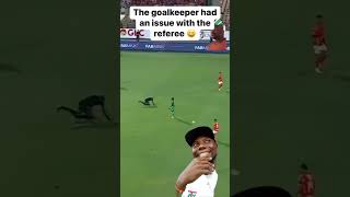 Give a goalkeeper a black card for assorting the referee shorts subscribe refree [upl. by Burck543]