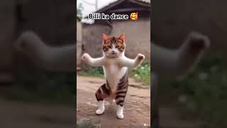 Billi ka dance youtubeshorts trendingshorts cartoon newshorts cat cortoon [upl. by Fiorenza960]