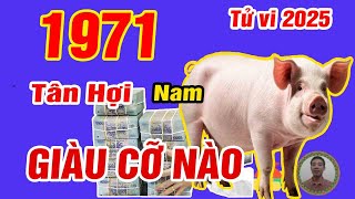 🔴TỬ VI 2025 Tử vi tuổi TÂN HỢI 1971 Nam mạng năm 2025 LỘC THẦN TÀI Vận Số GIÀU SANG Cực GIÀU [upl. by Winfrid659]