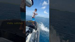 കോബാൻ സ്രാവ് shark shortvideo shortfeed fishing shortsviralviralreels viralvideo [upl. by Lethia778]