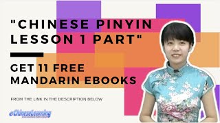 Chinese Pinyin lesson 1 part 1 [upl. by Kassey]