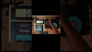 Koalasampler X Ableton Move X Sp404mk2 X Effectrix Jam [upl. by Gonagle]