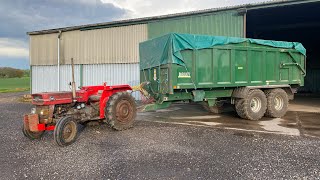 Massey Ferguson 135 automatic pick up hitch [upl. by Dehnel]