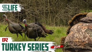 Turkey Hunting Double In Mississippi  Smalltown Life [upl. by Eissolf]