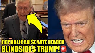 Mitch McConnell RUINS Trump’s CAMPAIGN With BRUTAL Bombshell [upl. by Julieta]