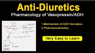 Mechanism of Antidiuretic Hormone ADH  Vasopressin  Pharmacology of Antidiuretics [upl. by Anilehs]