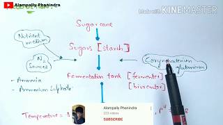 Production of Glutamic acid and Aspartic acid by fermentation  Bio science [upl. by Staley28]