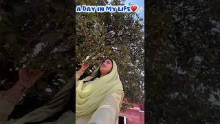 A Day In my Life✨♥️Exploring Sundernagar youtubeshorts minivlog trendingshorts adayinmylife [upl. by Amsirhc]