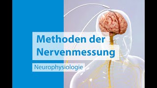 Neurophysiologie Messungen des Nervensystems [upl. by Ergener]