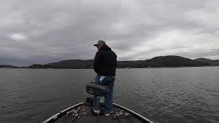 Live Lake Guntersville Bass fishing [upl. by Babcock]