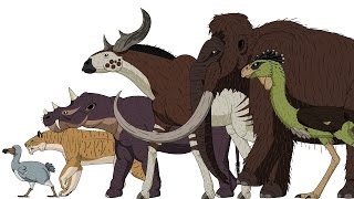 CENOZOIC BEASTS  Animated Size Comparison [upl. by Elvin446]