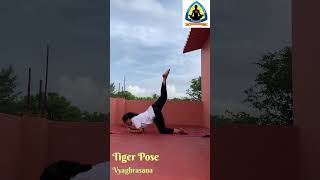 Vyaghrasana  Tiger Pose🐯 tigerpose tigerposeyoga tigerpose🐅 vyaghrasana vyaghrasana🐯 [upl. by Berrie]