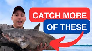 6 Tips to Catch More Catfish How to Catch MASSIVE Catfish Tips amp Tricks [upl. by Haonam614]