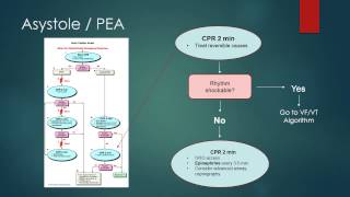 ACLS 2010 Algorithm Review Asystole PEA [upl. by Johns]