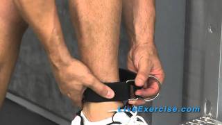 Bodylastics System Tip How to use your Ankle Strap [upl. by Ibor]