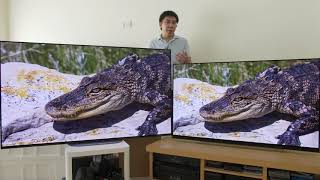 LG E9 vs Sony AG9 A9G 2019 OLED TV Comparison [upl. by Eirrem]