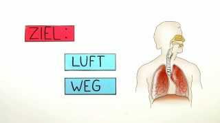 Atmung Der Weg durch den Körper  Biologie  Humanbiologie [upl. by Aklam]