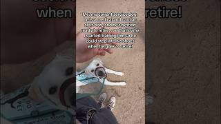 Wholesome training moment with service dog servicedog dogtraining youtubeshorts shorts dog fyp [upl. by Chappelka]