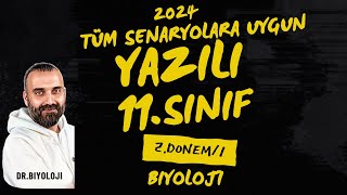 11Sınıf Biyoloji 2Dönem 1Yazılı  Senaryo Odaklı  PDF  20232024 [upl. by Morris681]