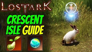 LOST ARK CRESCENT ISLE SOUL GUIDE amp ALL MOKOKO SEED LOCATIONS [upl. by Ialda]