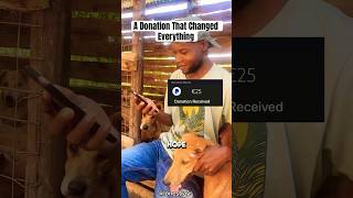 WatchDerricks Heartwarming Reaction rescuedogs heartwarming stories [upl. by Carlin]