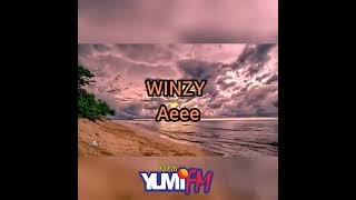 WinzyLyrics VideoIslestone ft Stegga Bwoyamp BakaSolomon2022 [upl. by Maximo]